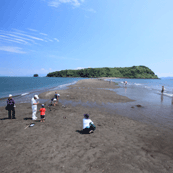 知林ヶ島