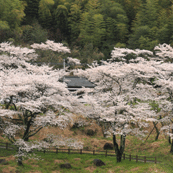 入来町