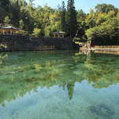 丸池湧水